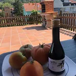 Camino A Casa. Hébergement de vacances Ribadavia